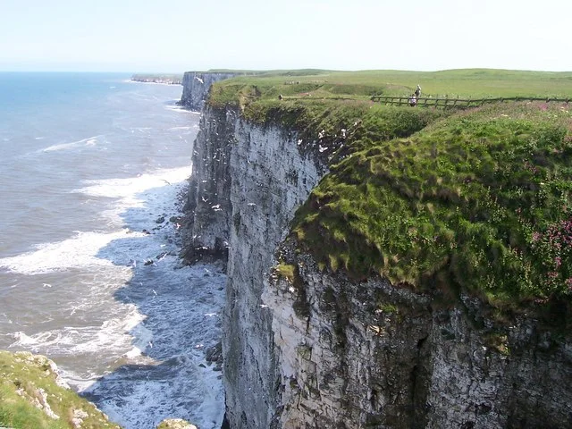White chalk cliffs and a fenced grassland path above the sea at Bempton
