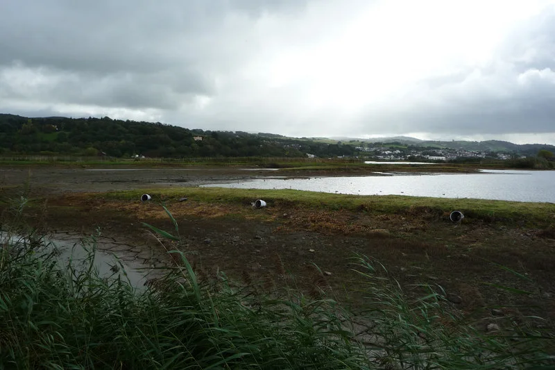 Reed-fringed lagoons and low islands at RSPB Conwy nature reserve