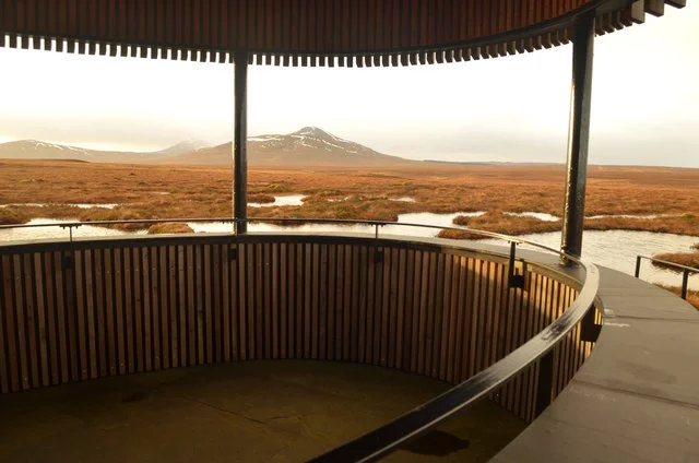 Blanket-bog pools seen from the Flows Lookout at Forsinard