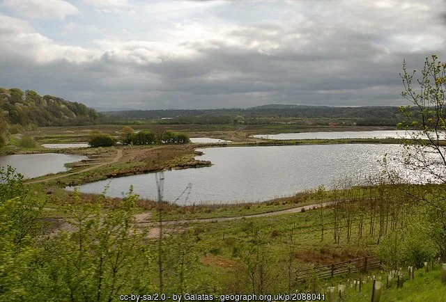 Freshwater lake and grassy margins at Brockholes Nature Reserve in 2010