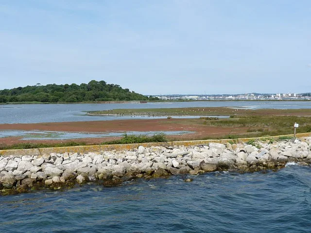 Brownsea Island lagoon with a bird hide on its far edge