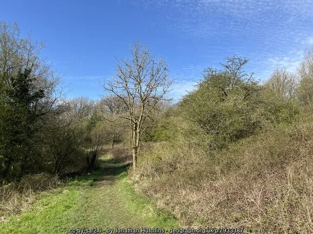 A woodland path on RSPB Coombes Valley nature reserve