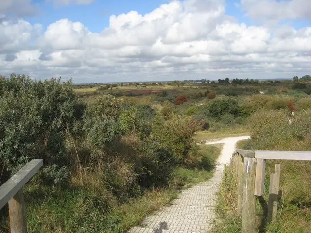 Boardwalk and steps descending through scrub into Gibraltar Point’s coastal landscape