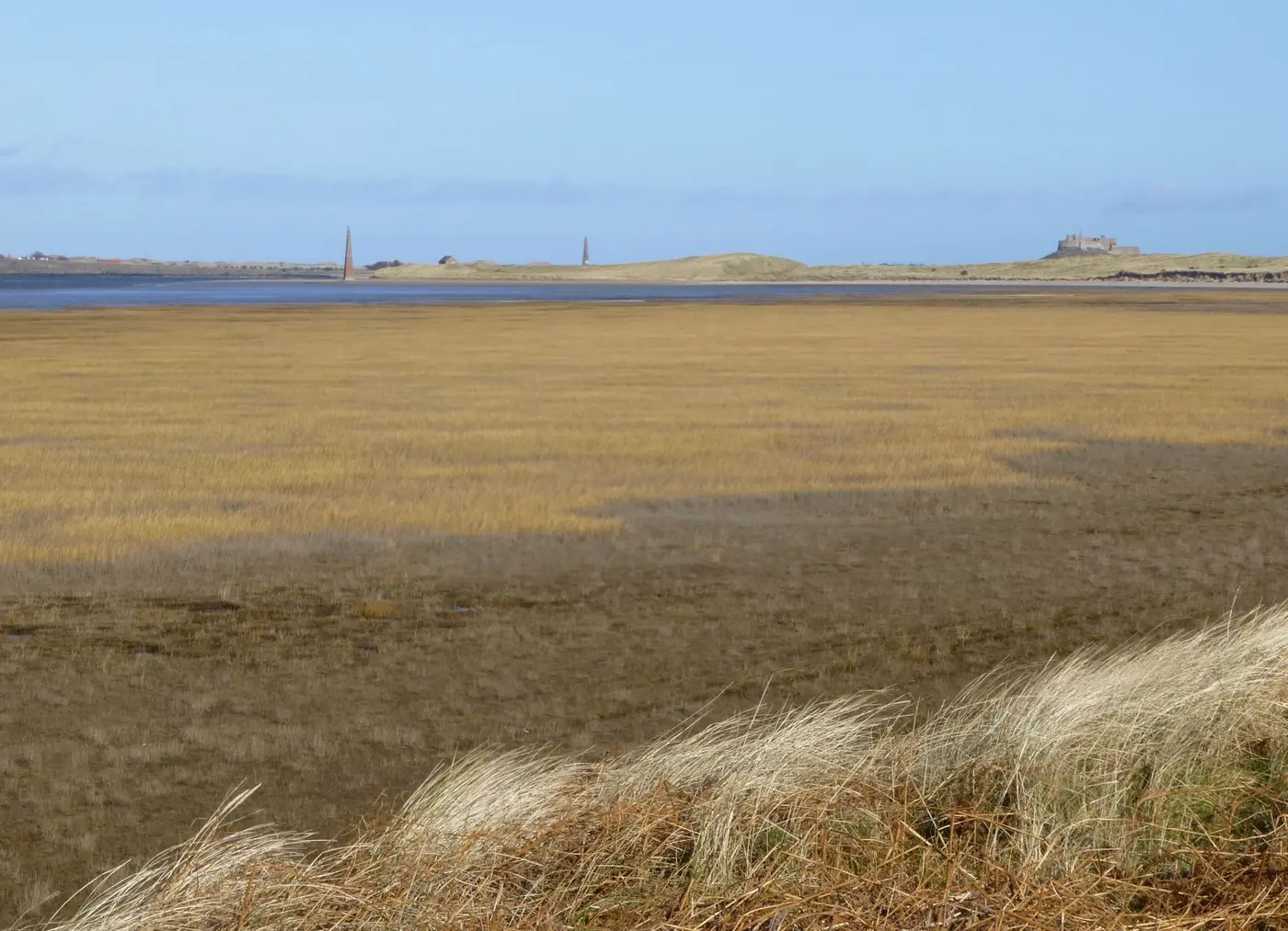 Saltmarsh and tidal shore in Lindisfarne National Nature Reserve