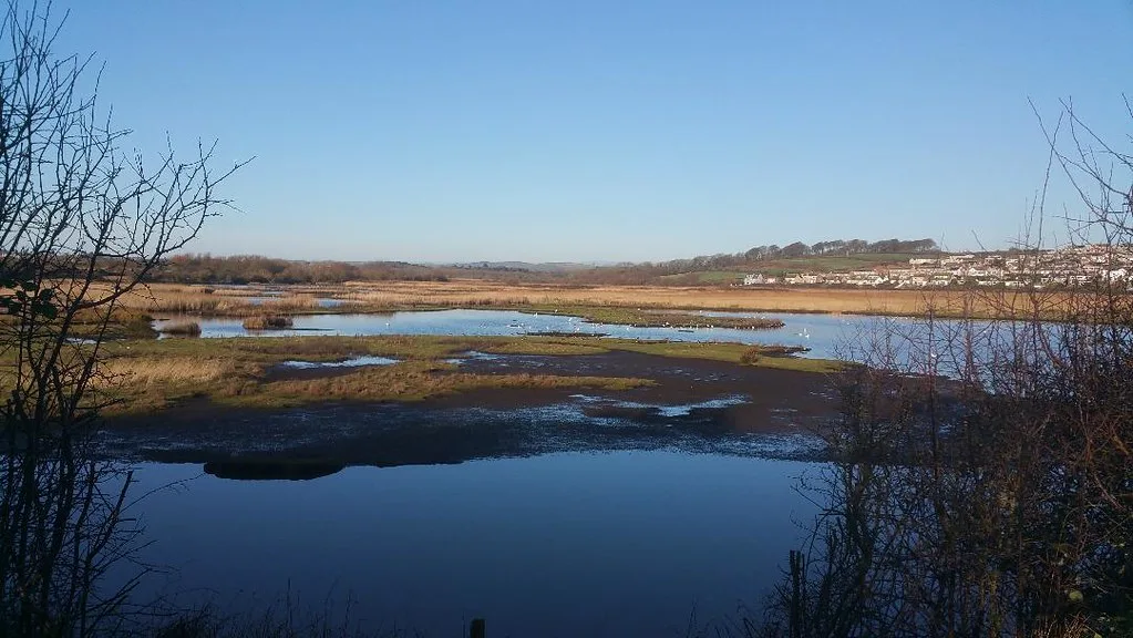 Winter pools, reeds and distant hillside at Lodmoor nature reserve