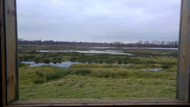 Wetland pools and islands seen from the Lookout hide at Middleton Lakes
