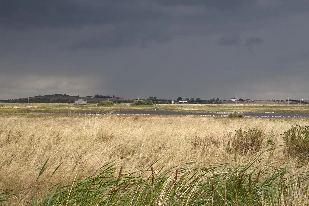 Open water and reed-fringed marsh at Oare under a cloud-filled sky
