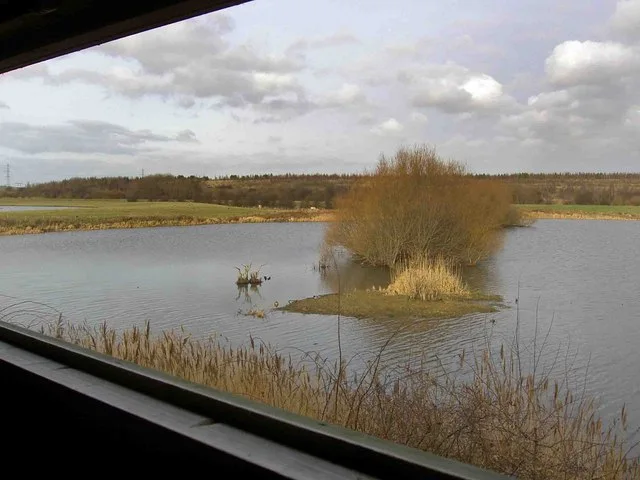 Open wetland and reed margins viewed from Wath Ings hide at RSPB Old Moor