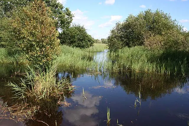 Open wetland and vegetated margins at Potteric Carr