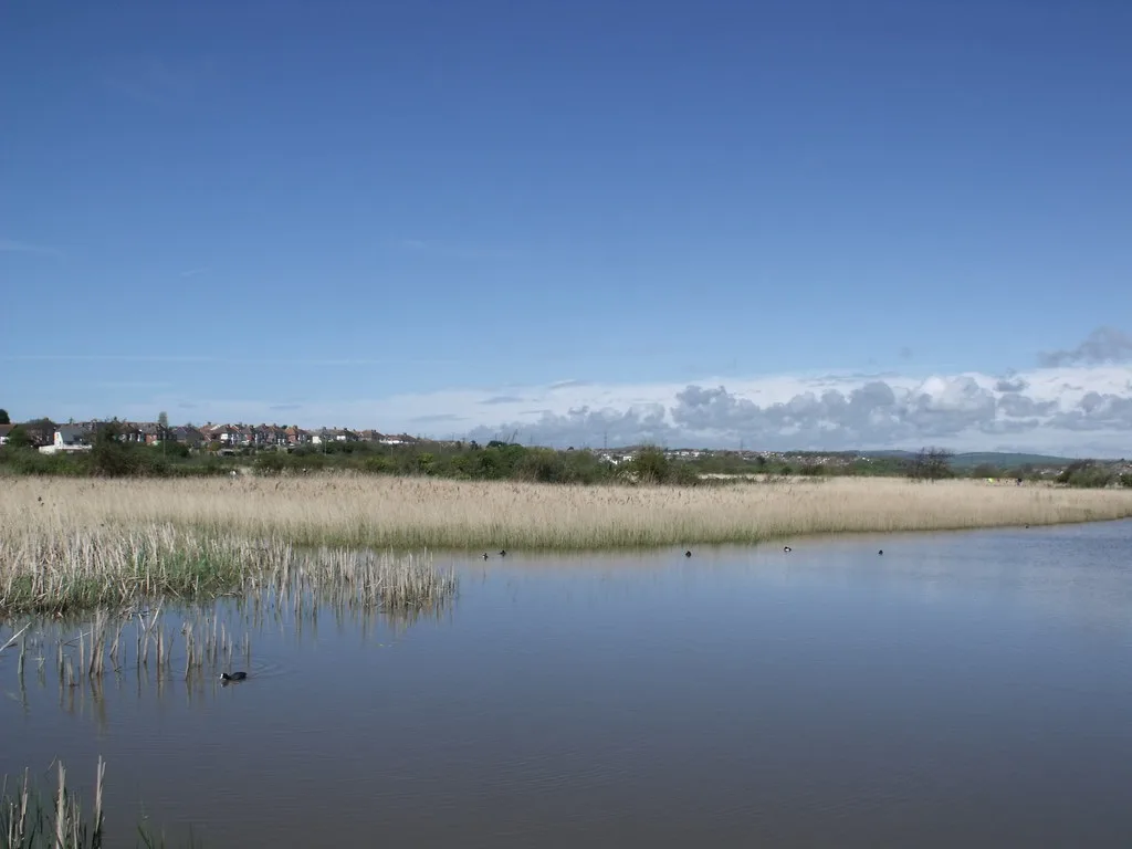 Reedbeds and open water at Radipole Lake under a blue sky