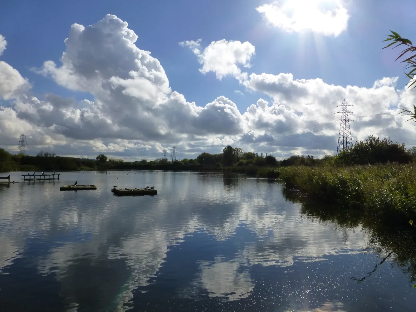 Open water fringed by reeds at Rye Meads Nature Reserve