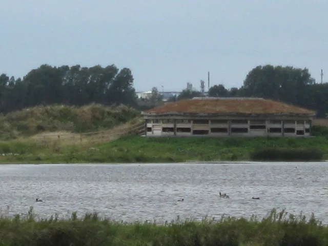Saltholme Pools Hide overlooking water and reeds at RSPB Saltholme