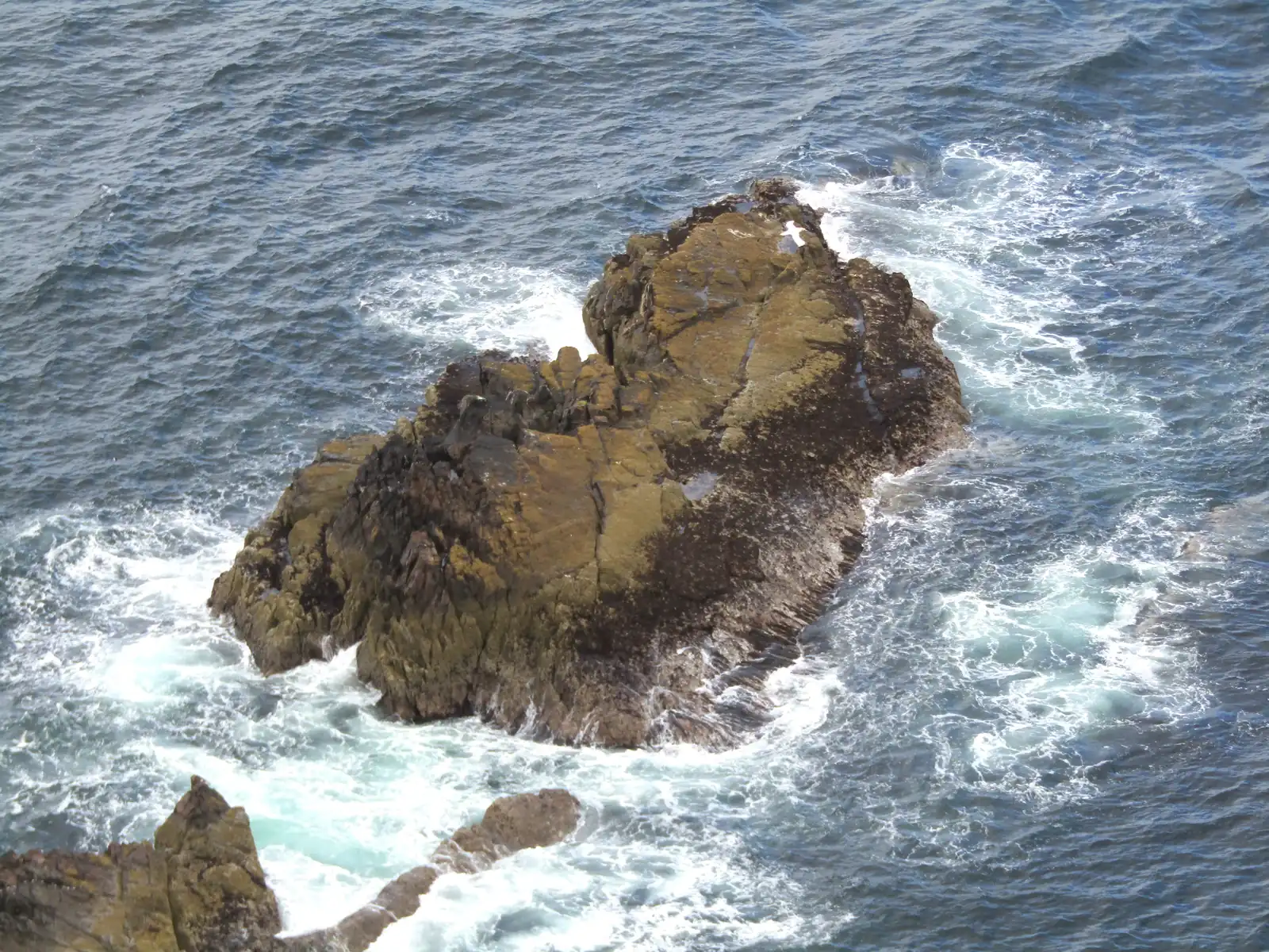 Sea surrounding the rocky Thirlet Point below Troup Head, Aberdeenshire