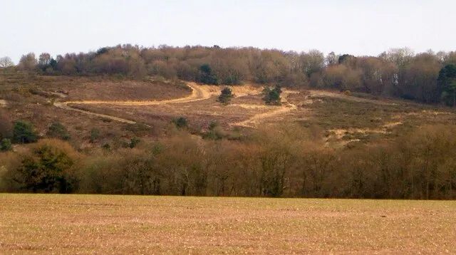 Heath and woodland of Aylesbeare Common beyond an arable field