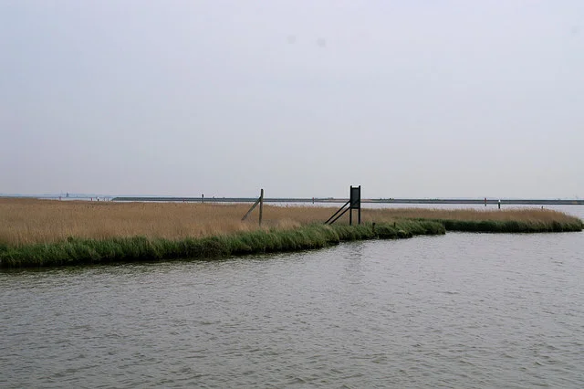 River channel and grazing marsh looking towards Breydon Water