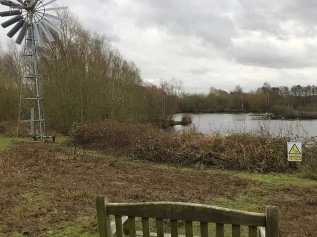 Pool at Brandon Marsh with reeds, a wind pump and a bench on the bank.
