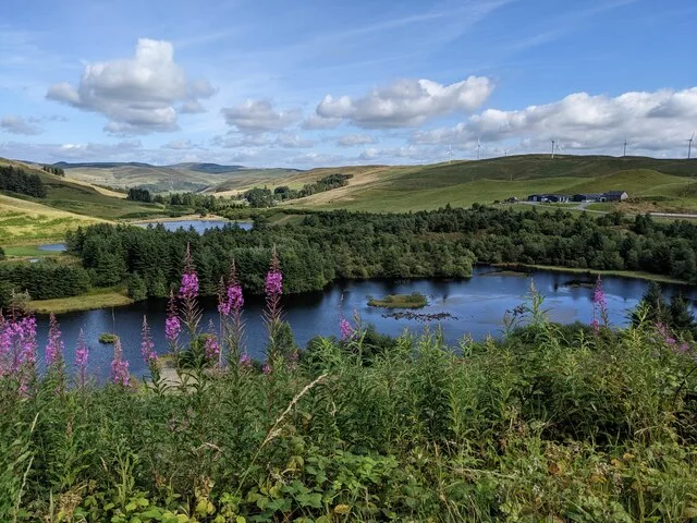 Lakes and wooded upland slopes at Bwlch Nant yr Arian.