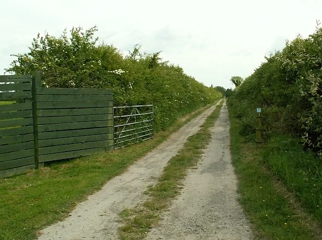 Track and wooden viewing screen at Campfield Marsh