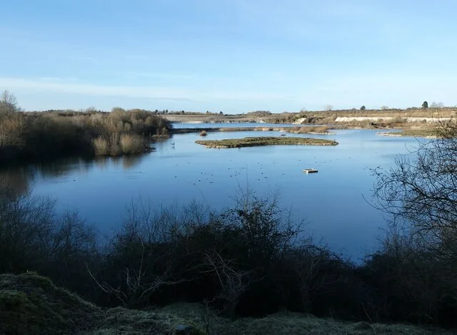Open water and wetland islands at College Lake, seen from the southern side.