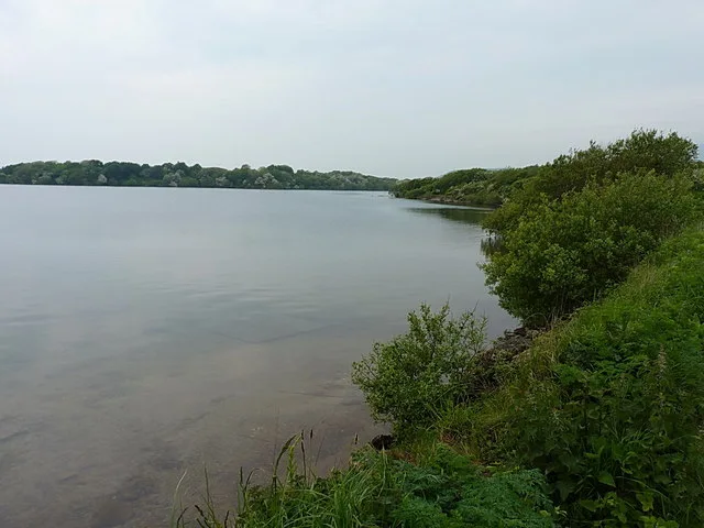 Still water and scrub on the northeast side of Hodbarrow lagoon