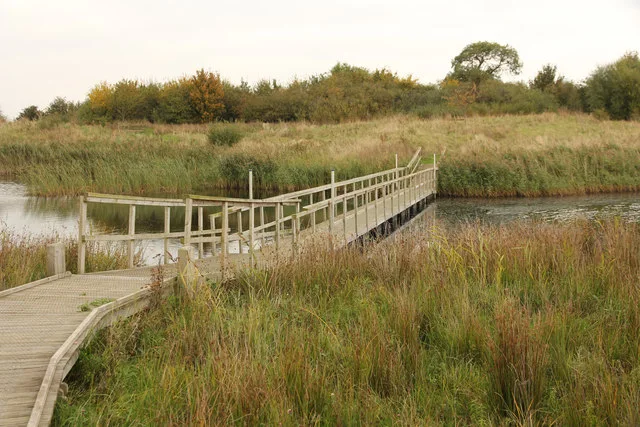 Floating boardwalk between reeds and open water at Langford Lowfields.
