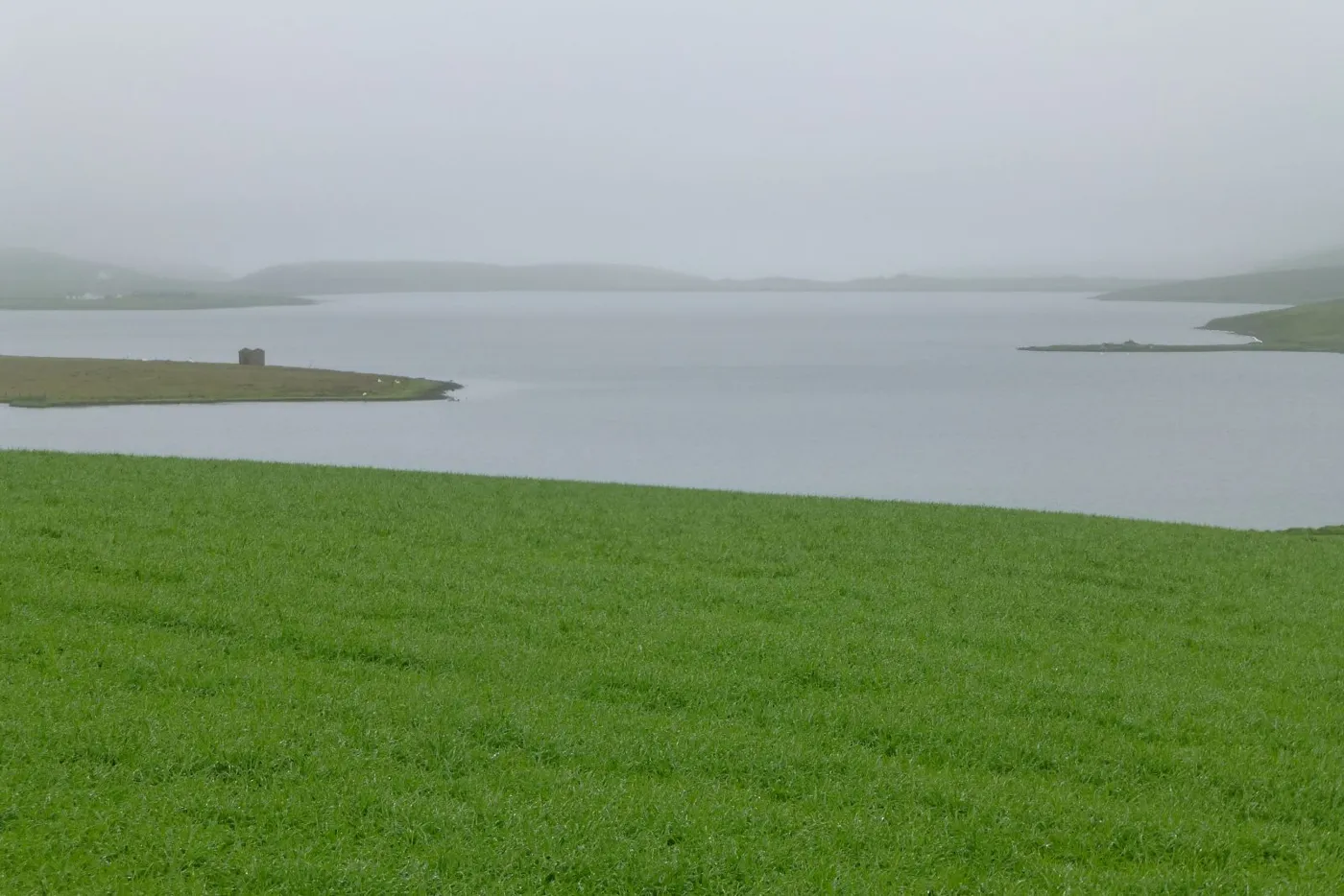 Loch of Spiggie beyond green pasture on a misty day