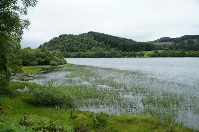 View from the official Loch Ruthven hide across sedges and open water