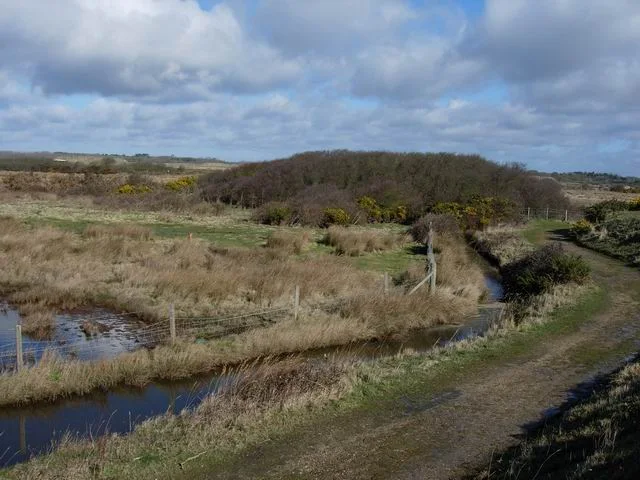 Public path beside ditches and grazing marsh at Keyhaven.