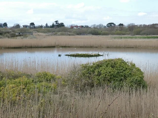Water and gull islands near the River Meon mouth at Titchfield Haven.