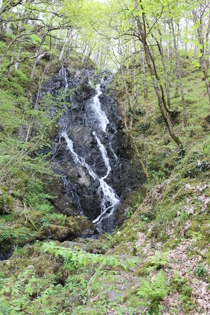 Waterfall descending dark rocks through spring woodland at Wood of Cree