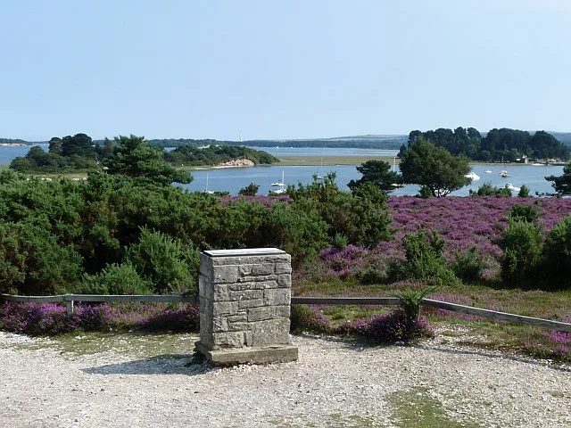 Wooded islands and open water in Poole Harbour seen from a viewpoint at RSPB Arne