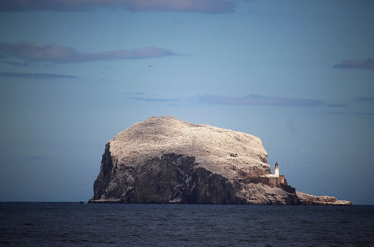 Northern gannets covering Bass Rock above its white lighthouse in the Firth of Forth