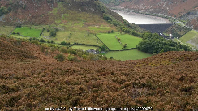 Heather-clad slopes of Carn Gafallt descending towards Caban Coch reservoir and dam.