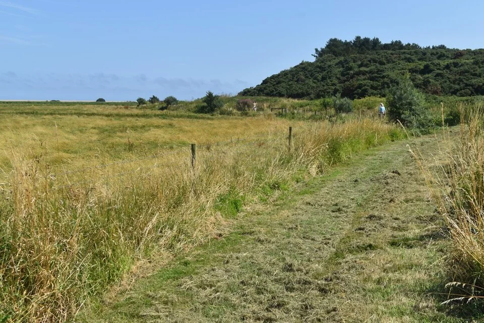 Mown Attenborough Walk beside grazing marsh and scrub at Cley and Salthouse Marshes