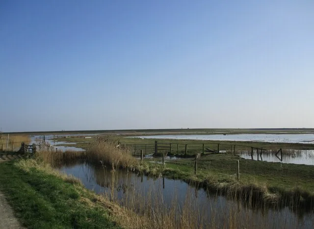 Water and low wetland vegetation at RSPB Frampton Marsh under a broad sky