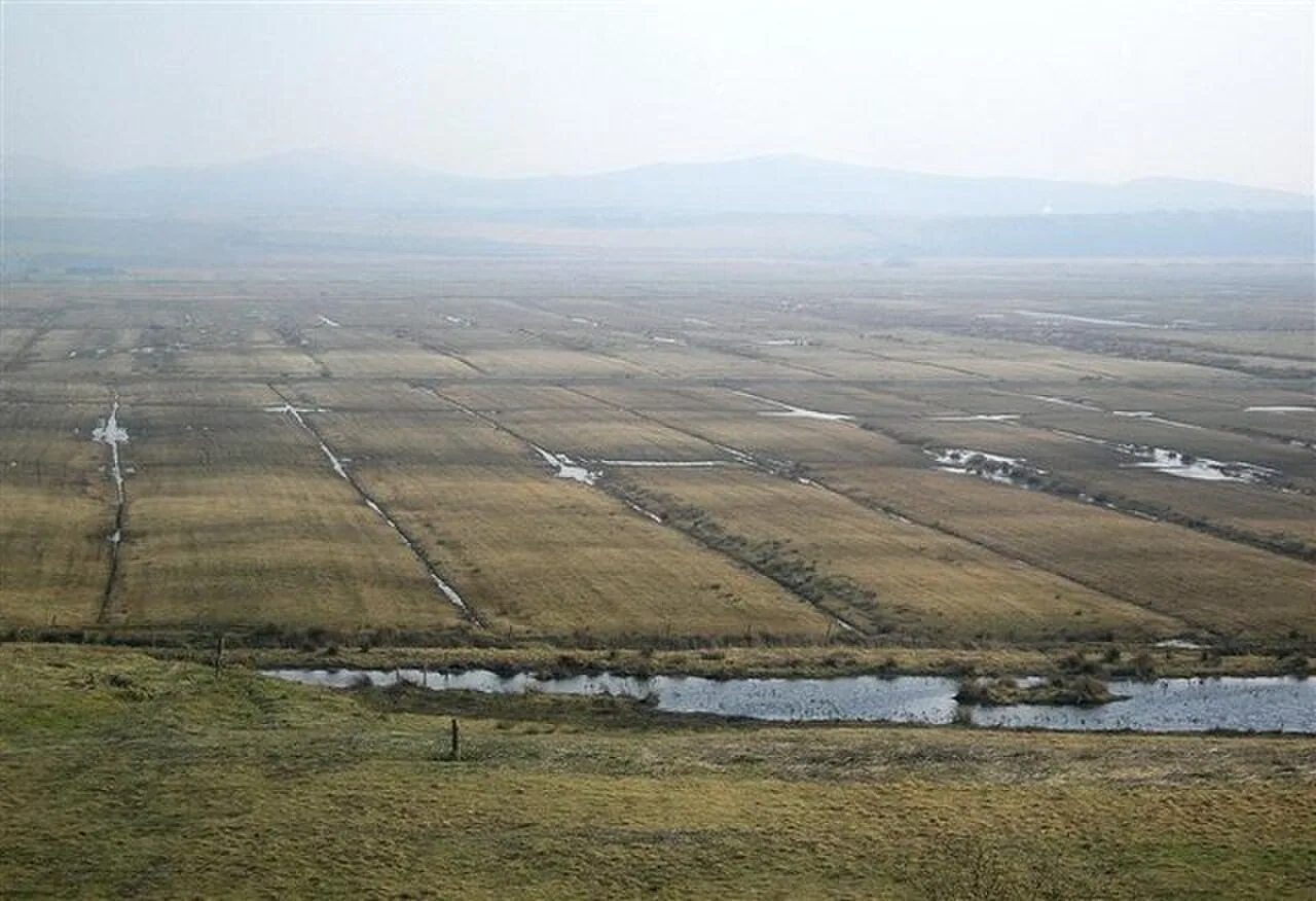 Wet grassland and shallow pools at RSPB Loch Gruinart, viewed from Aoradh.