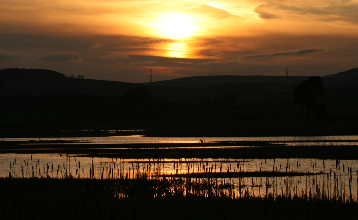 Evening sunlight reflected on the reed-fringed water of Loch of Kinnordy