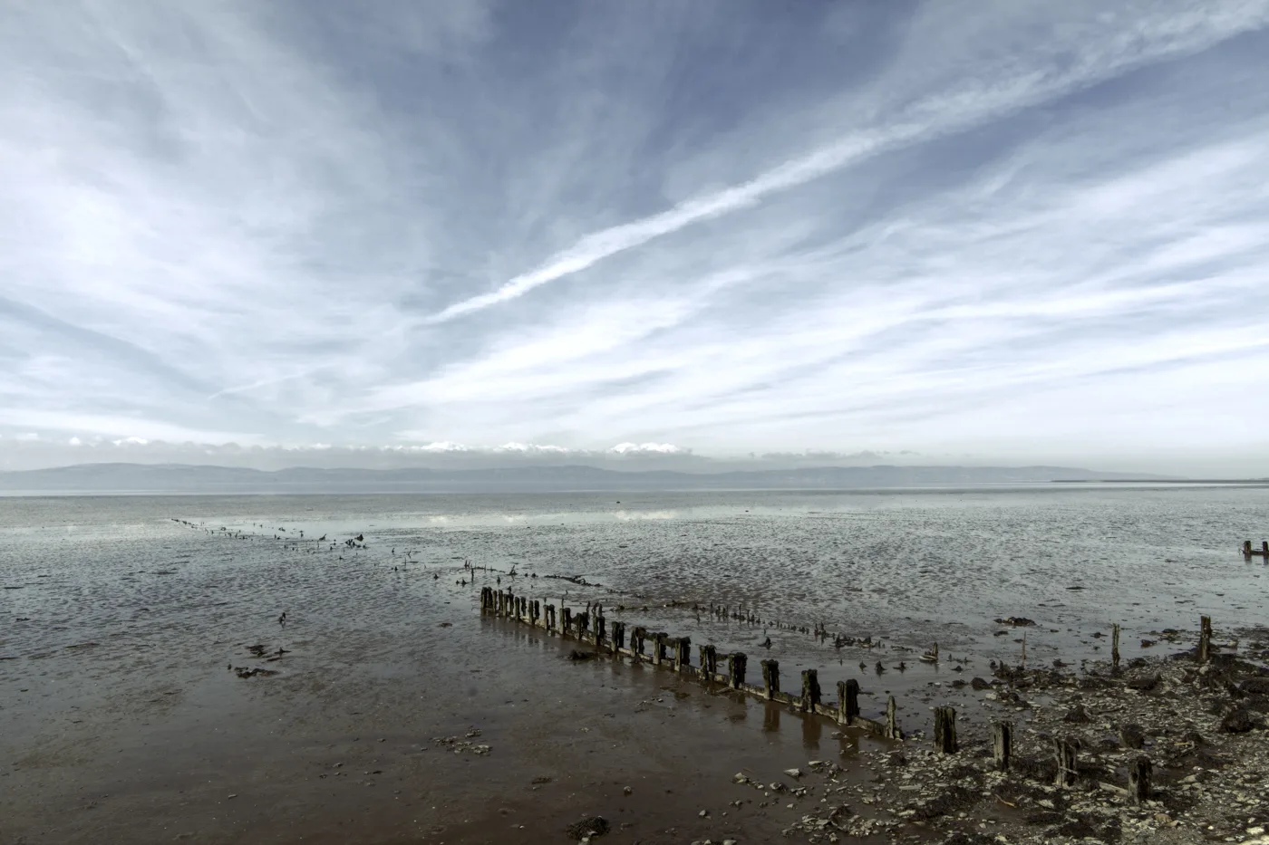 Exposed mudflats and old timber posts at Ballykelly Banks on Lough Foyle