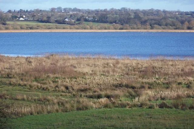 Winter reeds beside the open water of Portmore Lough beneath a pale blue sky