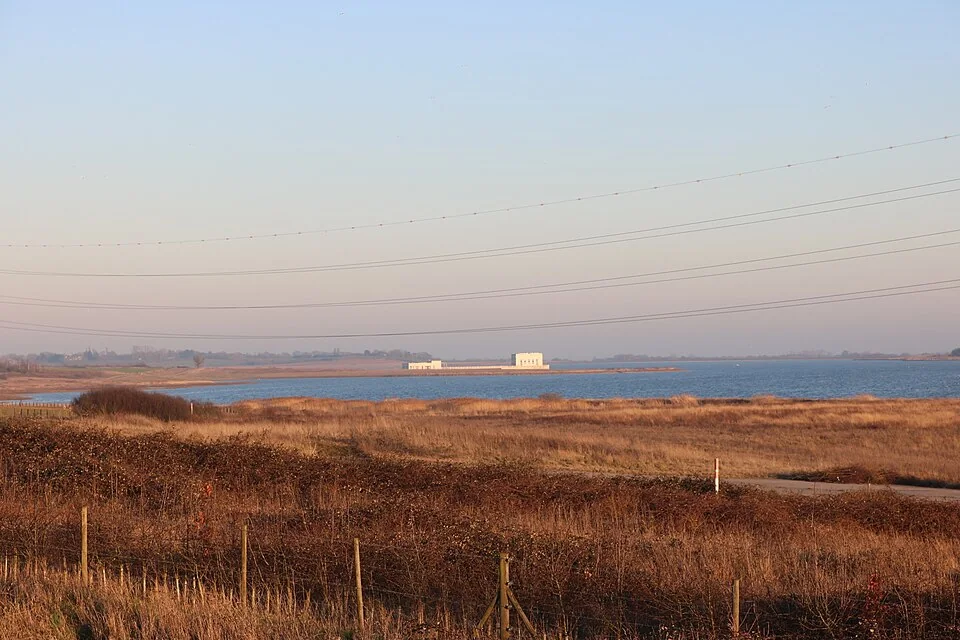 Open water and golden-brown shore vegetation at Abberton Reservoir, with buildings on the distant bank
