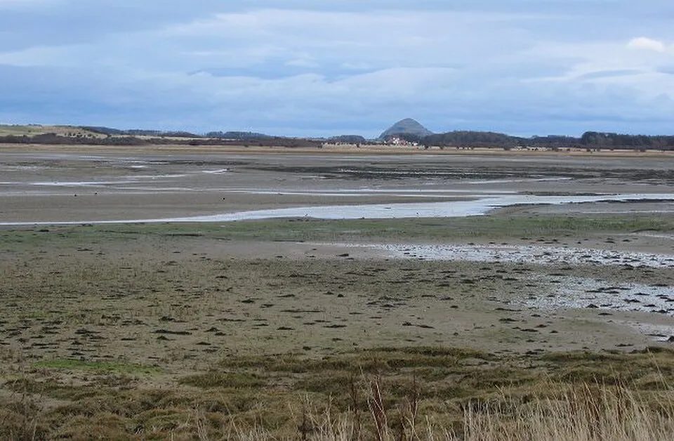 Exposed tidal mudflats and shallow channels in Aberlady Bay
