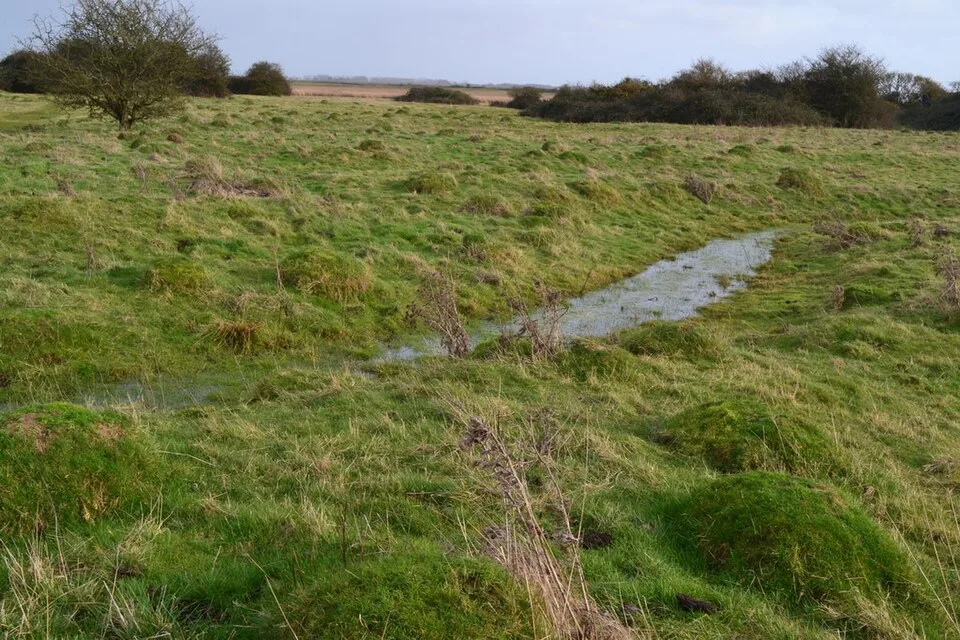 Grazed grass and a drainage ditch at Farlington Marshes, with flat coastal land beyond