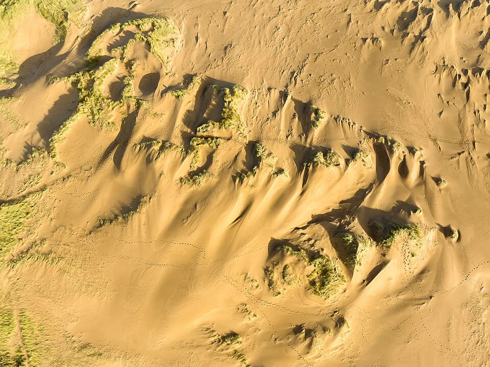 Wind-rippled sand and sparse vegetation in the Sands of Forvie