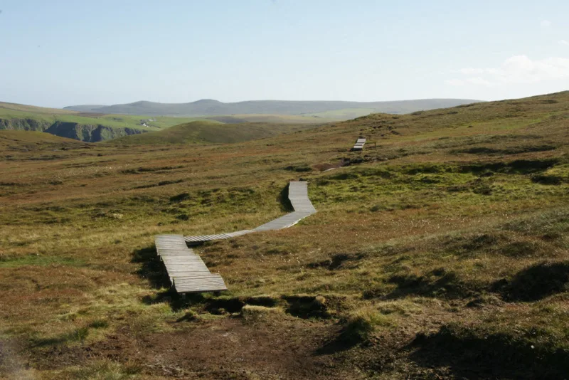 The boardwalk crossing open moorland at Hermaness on Unst
