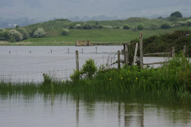 Water and reed-fringed shore at Kenfig Pool, with grassy dunes beyond