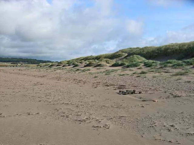 Low marram-covered sand dunes beside the beach at Newborough Warren