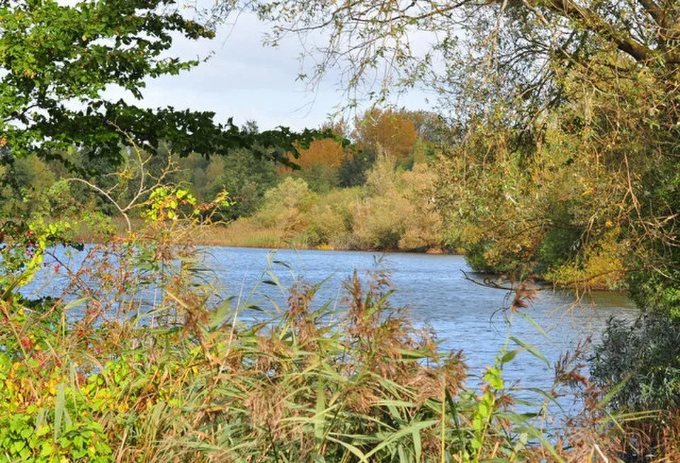 Paxton Pits Nature Reserve showing the public birdwatching landscape