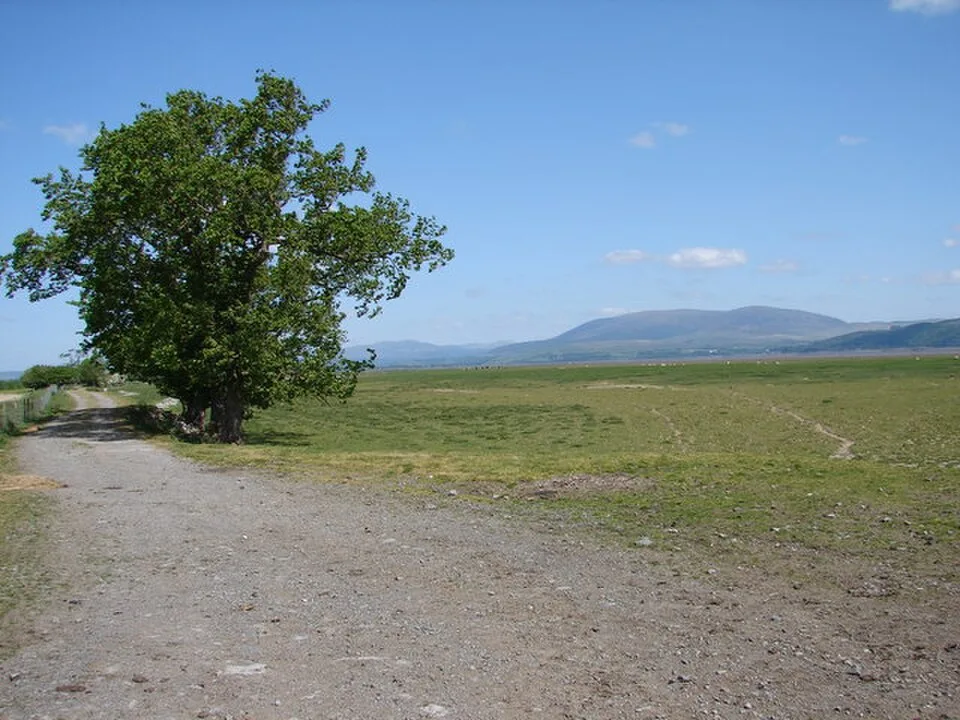 A gravel track beside open saltmarsh at Crook of Baldoon, with hills beyond