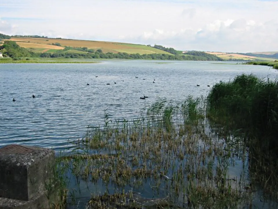 Freshwater lake and reed-fringed shore at Slapton Ley, viewed from Torcross