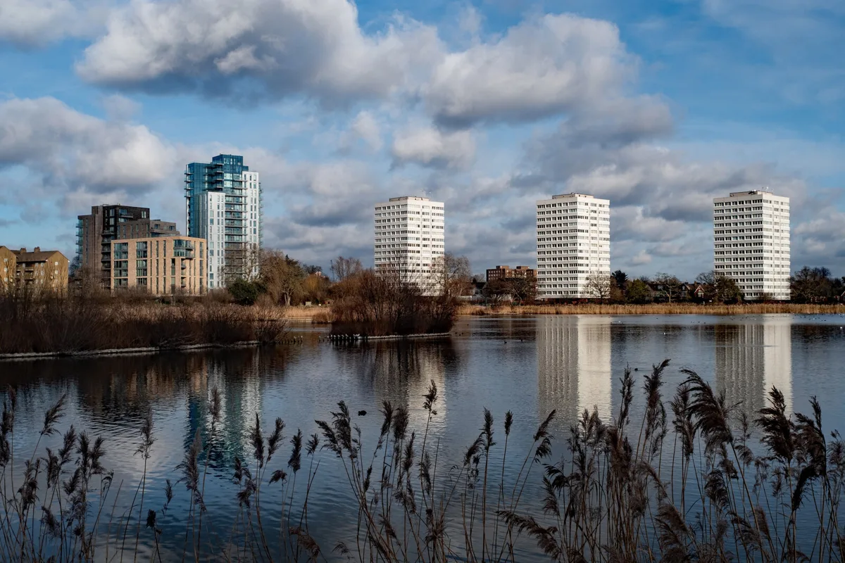 Woodberry Wetlands Nature Reserve showing the water and surrounding habitat